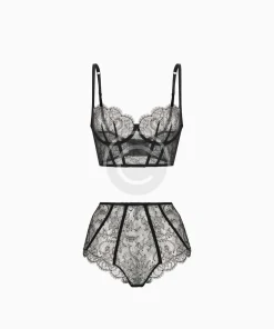 Sheer lace set
